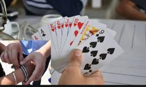 जुवाको खालबाट ११ जना पक्राउ