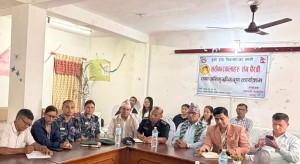 पाल्पामा २५५ जनामा डेंगु संक्रमण पुष्टि