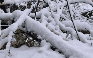 कर्णालीका हिमाली जिल्लामा यस हिउँदमा पहिलोपटक हिमपात