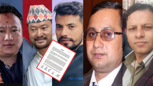 ५ दलका युवा संगठनले भने- संविधानभित्रबाटै निकास खोजियोस्