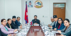 पूर्वन्यायाधीश राजेन्द्रकुमार भण्डारीको संयोजकत्वमा सम्पत्ति जाँचबुझ आयोग गठन