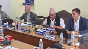 असार १५ मा विद्यालय शिक्षा विधेयक पारित  हुने सम्भावना न्यून