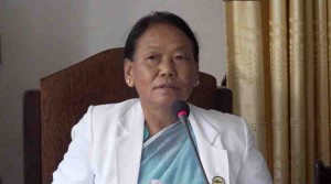 हुम्ला–बाजुरा सीमा विवाद समाधान गर्न निर्देशन