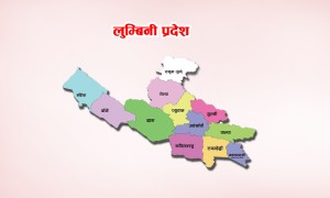 लुम्बिनी प्रदेशभर बुधबार सार्वजनिक बिदा