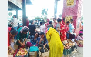 तीजको कोसेलीः कर्णालीको स्याउ