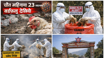 चैत महिनामा २३ स्थानमा बर्डफ्लु देखियो