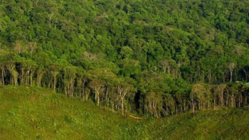 बाँकेमा दिगो वन व्यवस्थापन कार्यक्रम प्रभावकारी