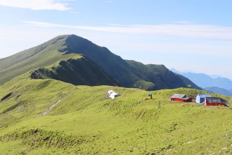 ढोरपाटन आरक्षले दियो वन्यजन्तु पीडितलाई ३८ लाख राहत