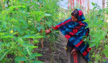 तरकारी खेतीले फेरिंदै जीवनशैली