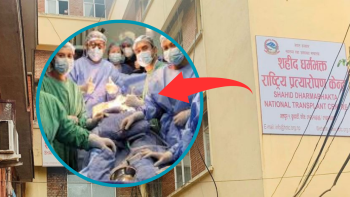 शहीद धर्मभक्त राष्ट्रिय प्रत्यारोपण केन्द्रमा एक महिनामा ३० को मिर्गाैला प्रत्यारोपण