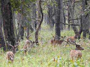 शुक्लाफाँटामा ६ महिनामा २६०० पर्यटकले गरे भ्रमण
