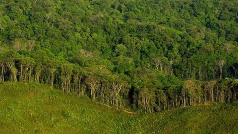 बाँकेमा दिगो वन व्यवस्थापन कार्यक्रम प्रभावकारी