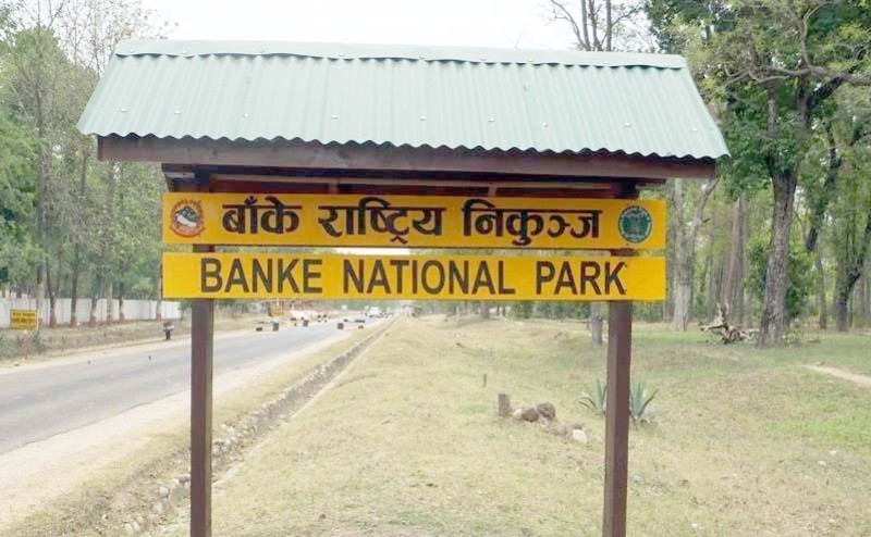 बाँके निकुञ्ज क्षेत्रमा ‘टाइम कार्ड’को समयावधि घटाइयो