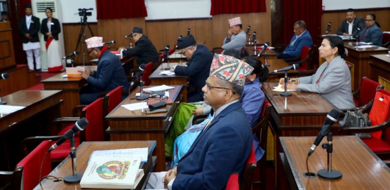 सामाजिक सञ्जाल विधेयक राष्ट्रिय सभाबाट फिर्ता