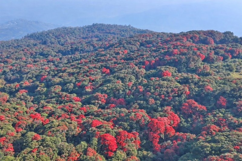 गुराँसको राजधानी भरिभराउ, होटल नपाएर फर्कंदै पर्यटक